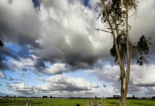 竞彩足球胜平负平台该如何选择?有哪些注意事项?